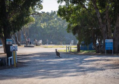 Molloy Holiday Park scenery