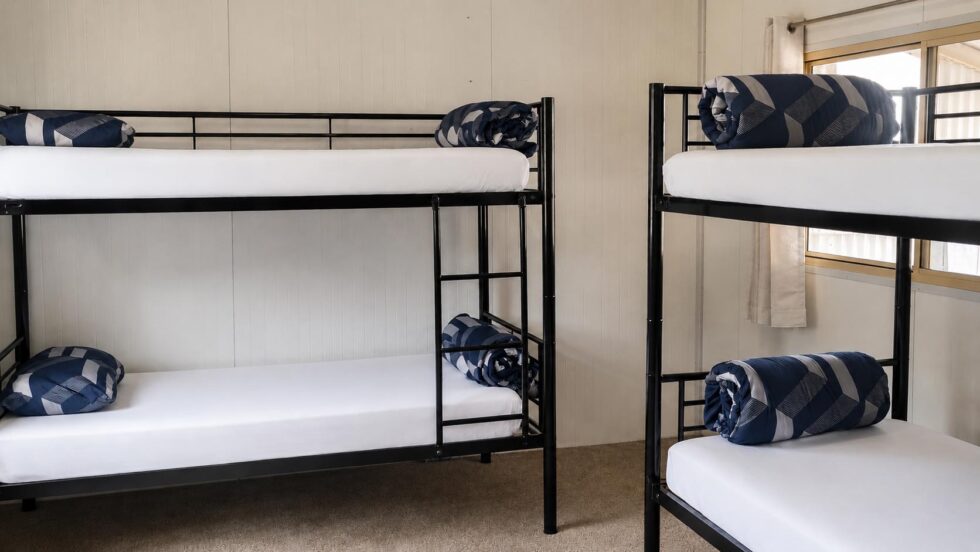 Gee Gee Bunk