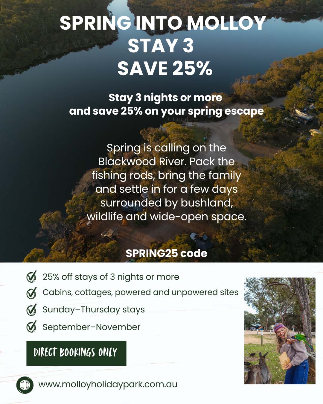 Spring into MOLLOY Stay 3 - With Code_